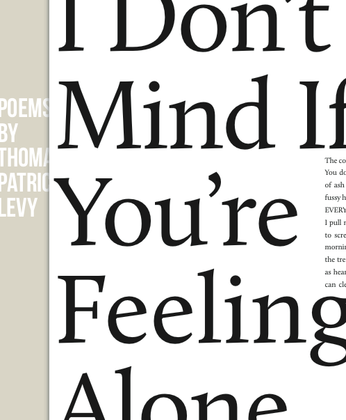 Cover image for "I Don't Mind if You're Feeling Alone" by Thomas Patrick Levy